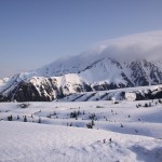 IMG_3645a
